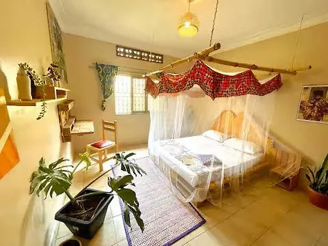 Artist Green Oasis Kisaasi Home Kampala