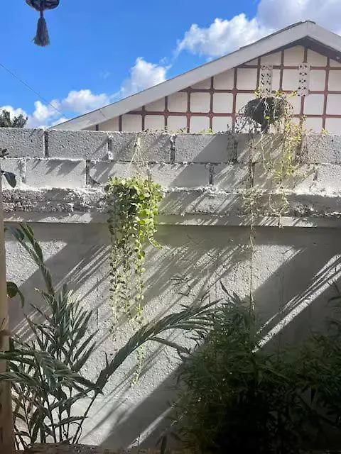 Artist Green Oasis Kisaasi Home Kampala 0*,