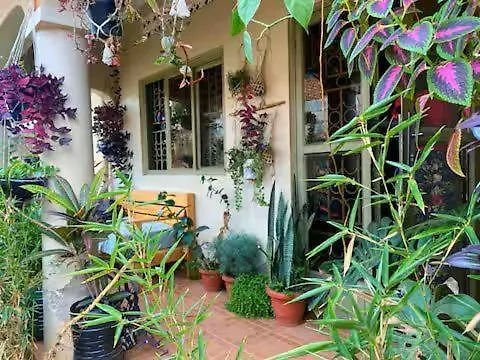 Artist Green Oasis Kisaasi Home Kampala