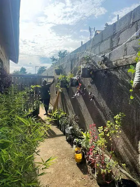 Artist Green Oasis Kisaasi Home Kampala Uganda